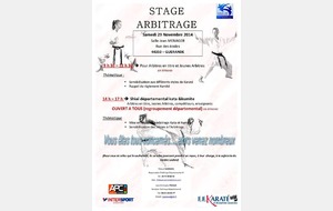 STAGE ARBITRAGE - 29/11/2014 - GUERANDE