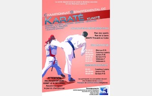 Championnat départemental Minimes/Cadets/Juniors/Séniors/Vétéran et Karaté Contact du 21 décembre 2014 à Thouaré sur Loire.