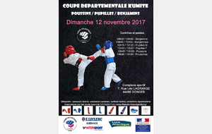 COUPE DEPARTEMENTALE KUMITE PPB